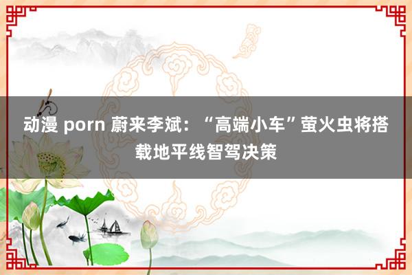 动漫 porn 蔚来李斌：“高端小车”萤火虫将搭载地平线智驾决策