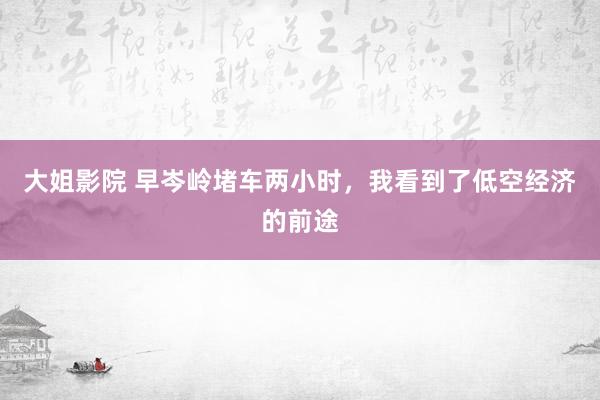 大姐影院 早岑岭堵车两小时，我看到了低空经济的前途