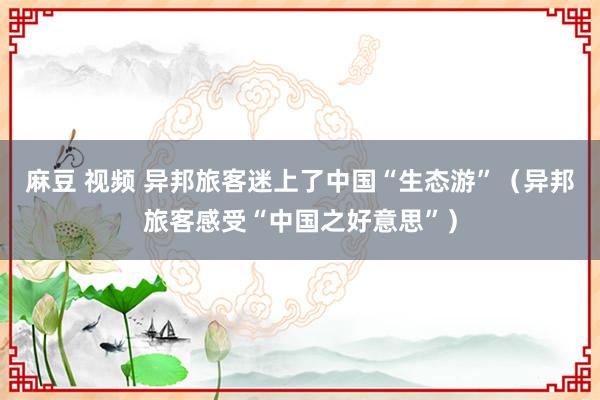 麻豆 视频 异邦旅客迷上了中国“生态游”（异邦旅客感受“中国之好意思”）