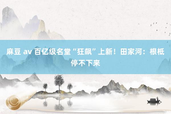 麻豆 av 百亿级名堂“狂飙”上新！田家河：根柢停不下来