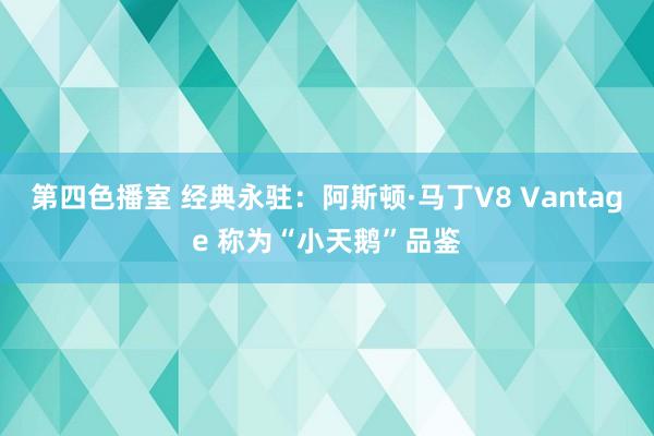 第四色播室 经典永驻：阿斯顿·马丁V8 Vantage 称为“小天鹅”品鉴