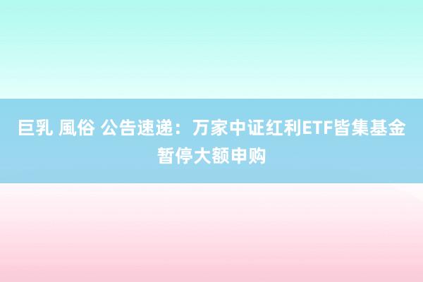 巨乳 風俗 公告速递：万家中证红利ETF皆集基金暂停大额申购