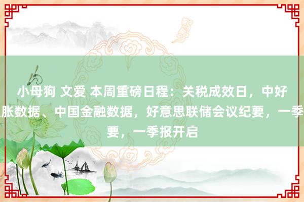 小母狗 文爱 本周重磅日程：关税成效日，中好意思通胀数据、中国金融数据，好意思联储会议纪要，一季报开启