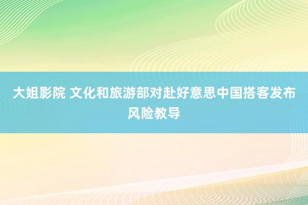 大姐影院 文化和旅游部对赴好意思中国搭客发布风险教导