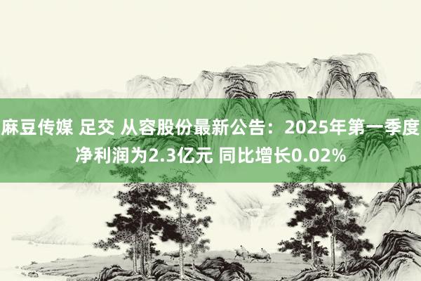麻豆传媒 足交 从容股份最新公告：2025年第一季度净利润为2.3亿元 同比增长0.02%