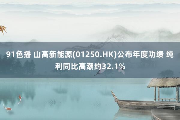 91色播 山高新能源(01250.HK)公布年度功绩 纯利同比高潮约32.1%