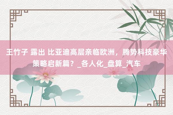 王竹子 露出 比亚迪高层亲临欧洲，腾势科技豪华策略启新篇？_各人化_盘算_汽车