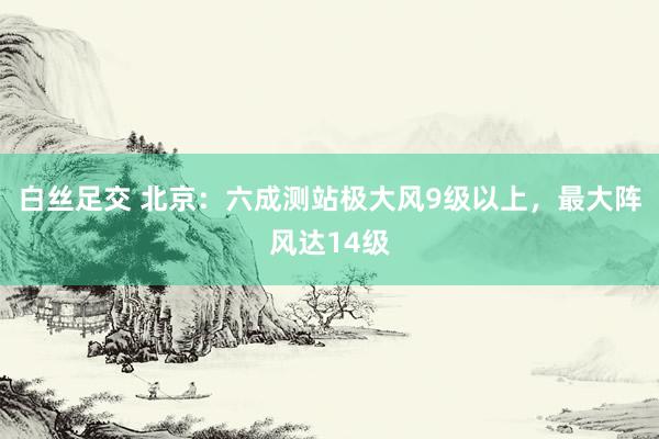 白丝足交 北京：六成测站极大风9级以上，最大阵风达14级