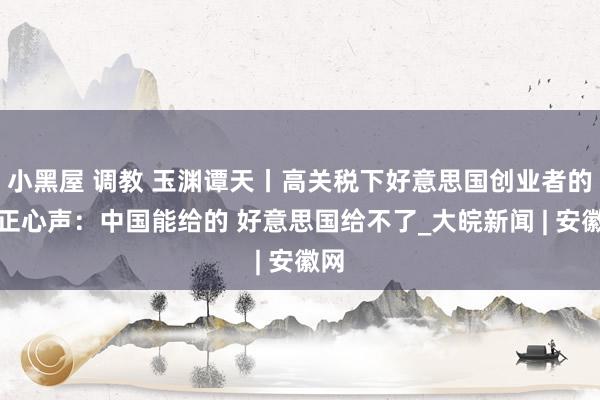 小黑屋 调教 玉渊谭天丨高关税下好意思国创业者的真正心声：中国能给的 好意思国给不了_大皖新闻 | 安徽网