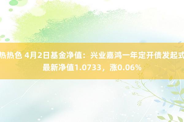热热色 4月2日基金净值：兴业嘉鸿一年定开债发起式最新净值1.0733，涨0.06%