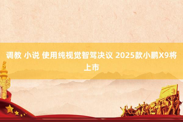 调教 小说 使用纯视觉智驾决议 2025款小鹏X9将上市