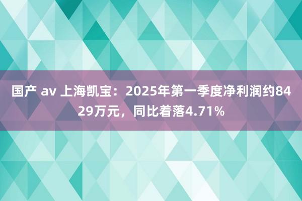 国产 av 上海凯宝：2025年第一季度净利润约8429万元，同比着落4.71%