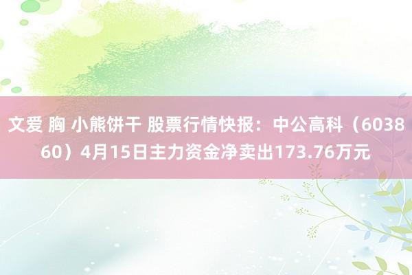 文爱 胸 小熊饼干 股票行情快报：中公高科（603860）4月15日主力资金净卖出173.76万元
