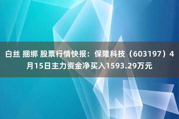 白丝 捆绑 股票行情快报：保隆科技（603197）4月15日主力资金净买入1593.29万元