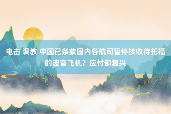 电击 调教 中国已条款国内各航司暂停接收待托福的波音飞机？应付部复兴