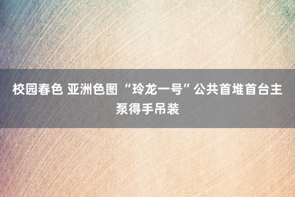 校园春色 亚洲色图 “玲龙一号”公共首堆首台主泵得手吊装