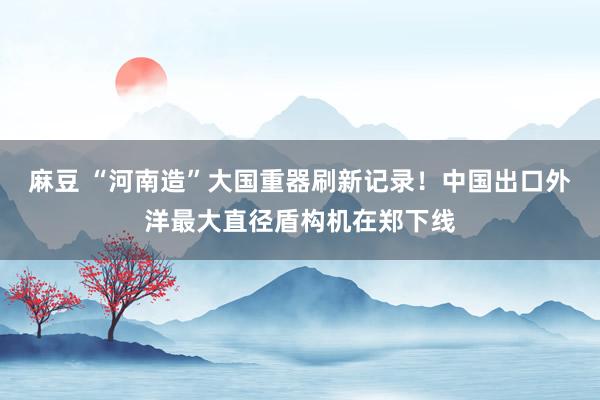 麻豆 “河南造”大国重器刷新记录！中国出口外洋最大直径盾构机在郑下线