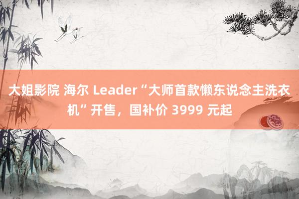 大姐影院 海尔 Leader“大师首款懒东说念主洗衣机”开售，国补价 3999 元起