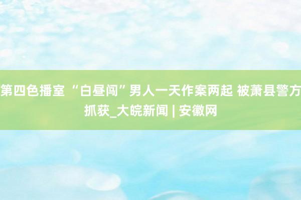 第四色播室 “白昼闯”男人一天作案两起 被萧县警方抓获_大皖新闻 | 安徽网