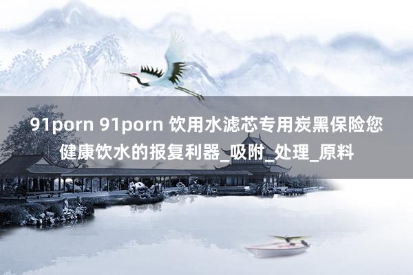 91porn 91porn 饮用水滤芯专用炭黑保险您健康饮水的报复利器_吸附_处理_原料