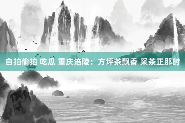 自拍偷拍 吃瓜 重庆涪陵：方坪茶飘香 采茶正那时