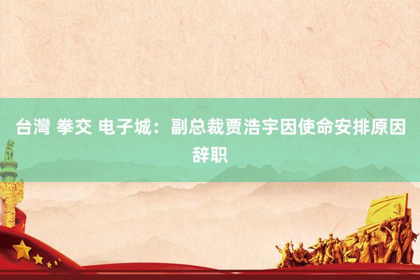 台灣 拳交 电子城：副总裁贾浩宇因使命安排原因辞职