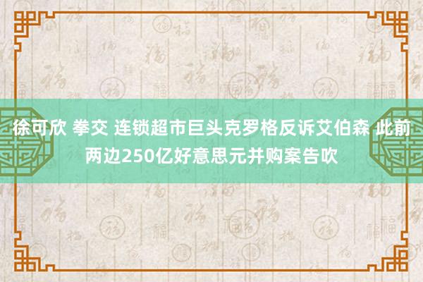 徐可欣 拳交 连锁超市巨头克罗格反诉艾伯森 此前两边250亿好意思元并购案告吹