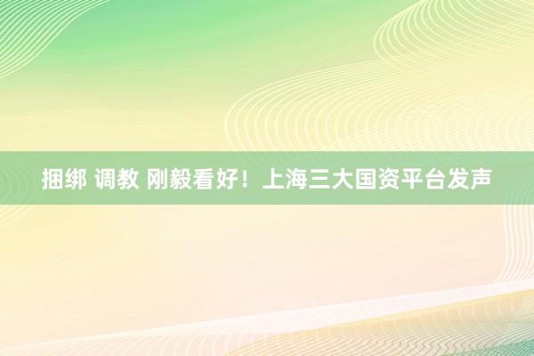 捆绑 调教 刚毅看好！上海三大国资平台发声
