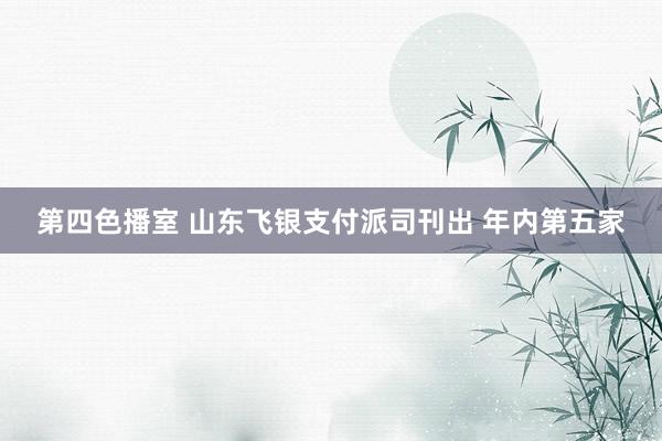 第四色播室 山东飞银支付派司刊出 年内第五家