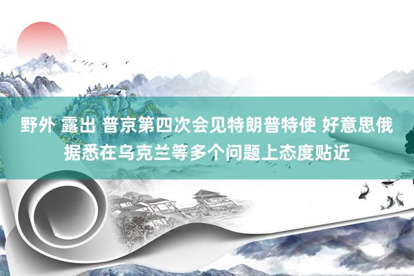 野外 露出 普京第四次会见特朗普特使 好意思俄据悉在乌克兰等多个问题上态度贴近