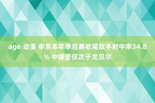 age 动漫 申京本年季后赛收尾敌手射中率34.8% 中锋里仅次于戈贝尔